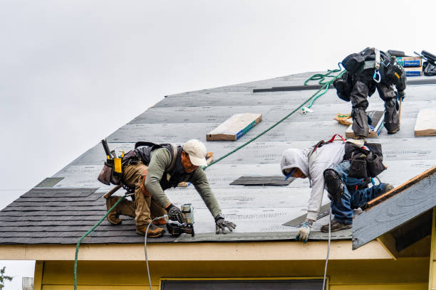 Professional Roofing technician working in Ute, IA